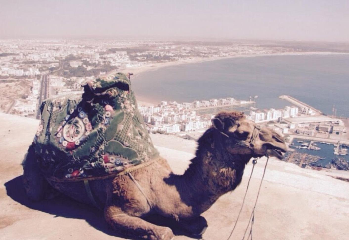 Guest house Agadir-gaestezimmer *